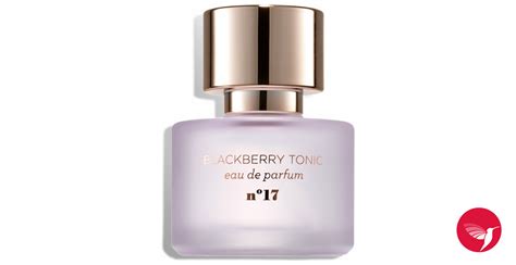 blackberry tonic perfume dupe for|Mix:Bar perfumes and colognes .